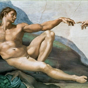 Michelangelo Collection: Creation of Adam