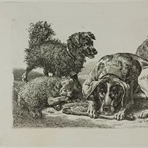 Four Dogs, from Die Zweite Thierfolge, 1799/1803. Creator: Johann Christian Reinhart