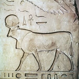 Egyptian relief of the bull-god Apis