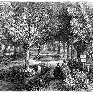 Experimenting ponds at the Huningue Fish Nurseries, France, 1864. Creator: Mason Jackson