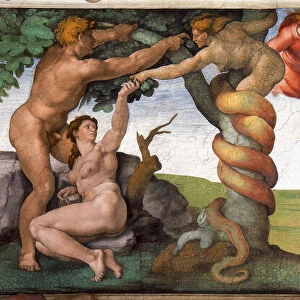 Michelangelo Buonarroti Collection: The Last Judgment