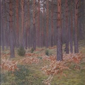 Ferns, 1894. Artist: Levitan, Isaak Ilyich (1860-1900)