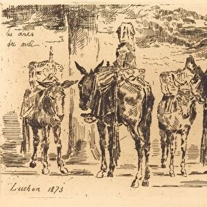Feuilles d Anes du Midi, 1873. Creator: Felix Hilaire Buhot