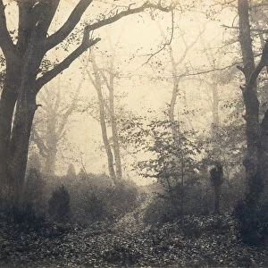[Fontainebleau Forest], early 1860s. Creator: Eugene Cuvelier