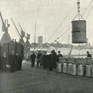 French Milk Being Landed at Southampton, 1902. Creator: Unknown