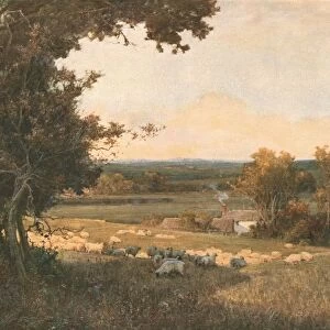 The Golden Valley, c1893, (c1930). Creator: Alfred Edward East
