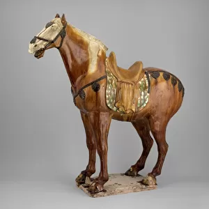 Horse, Tang dynasty, (A. D. 618-907), 1st half of 8th century. Creator: Unknown