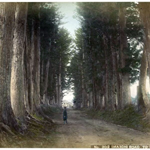 Imaichi Road at Nikko, Japan, early 20th century(?)