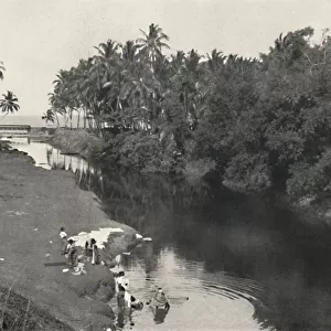 Sri Lanka Collection: Dehiwala