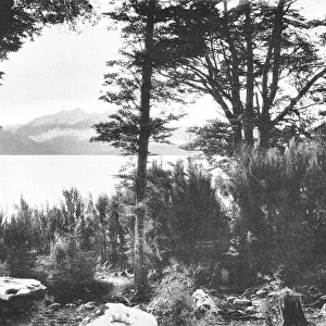 Lakes Collection: Lake Manapouri