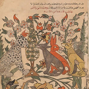 Leopard Bearing Lions Order to Fellow Judges, Folio 51 recto from a Kalila wa Dimna