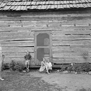 Log home of rural non-farm family, Orange County, North Carolina, 1939. Creator: Dorothea Lange