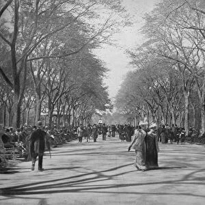 The Mall, Central Park, New York, c1897. Creator: Unknown