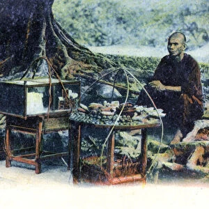 A man selling fruit under a tree, Hong Kong, China, c1900s