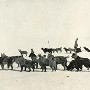 Meares and Demetri with Their Dog Teams Leaving Hut Point, c1911, (1913). Artist