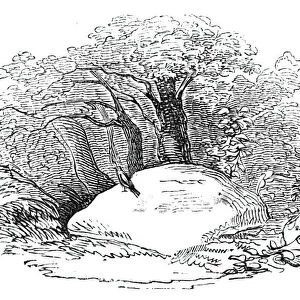 The "Mickle Stane"- Tam o Shanter, 1844. Creator: Unknown