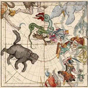 North Pole, Plate 1 from Globi coelestis in tabulas planas redacti descriptio, 1674