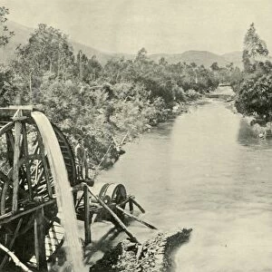 In the Ovens River, Germantown, 1901. Creator: Unknown