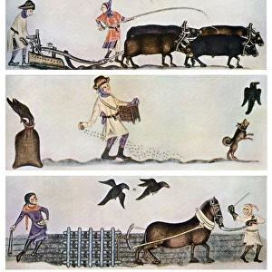 Ploughing, sowing, and harrowing, c1300-1340, (c1900-1920)