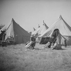 Possibly: Flood refugee encampment at Forrest City, Arkansas, ca. 1937. Creator: Walker Evans