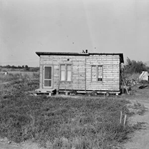Possibly: Yakima, Washington, 1939. Creator: Dorothea Lange