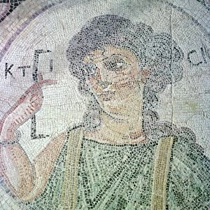 Roman mosaic from Curium of Creation