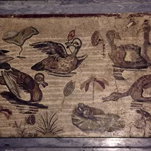 Roman Mosaic from Pompeii of ducks and frogs in a water garden, 1st century. Artist: Dioscurides of Samos