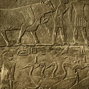 Saqqara - Tomb of Ti Mural Paintings, c1918-c1939. Creator: Unknown