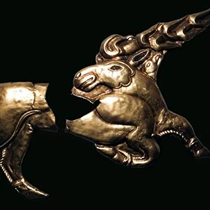Scythian gold stag, probably the centre of a shield