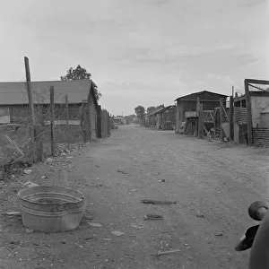 Slums of East El Centro, California, 1937. Creator: Dorothea Lange