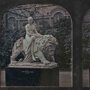 Stereograph, Crystal Palace, John Bells Una and the Lion, 1854-62