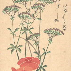 Superb Pinks and Chinese Agrimony, ca. 1836. ca. 1836. Creator: Ando Hiroshige