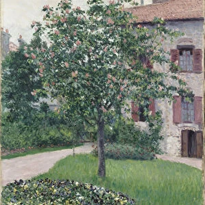 Impressionist art Collection: Gustave Caillebotte