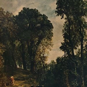 Trees Near Hampstead Church, 1829, (c1915). Artist: John Constable