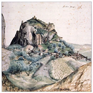Albrecht Durer Collection: Watercolor paintings