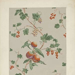 Wall Paper, c. 1937. Creator: Lee Hager