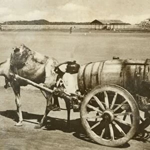 Water Cart, Aden, c1918-c1939. Creator: Unknown