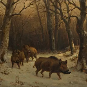 Wild Boars in the Snow, c. 1872-1877. Creator: Rosa Bonheur (French, 1822-1899)