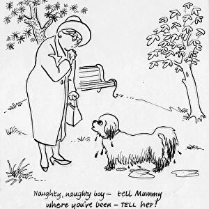 Woman with dog, c1950. Creator: Shirley Markham