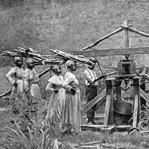 A wooden, horse-powered suger cane crushing mill, West Indies, 1922