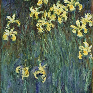 Yellow Irises, 1914-1917. Artist: Monet, Claude (1840-1926)