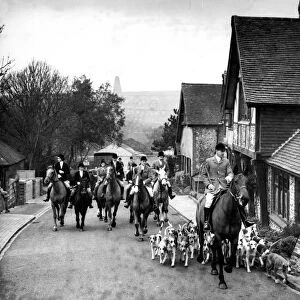 Southdown foxhounds in Rottingdean