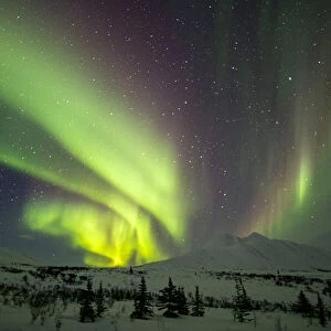 Aurora borealis or northern lights over the Dempster Highway in winter, Yukon
