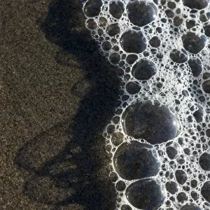 Bubbles Mark The Edge Of The Surf; Cannon Beach, Oregon, United States Of America