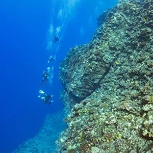 Divers on Backwall, Molokini, Hawaii, USA