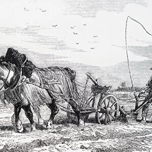 Engraving depicting a horse-drawn plough