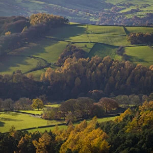 Fields and woods in Autumn near Stanage Edge, Peak District; Derbyshire, England, United Kingdom