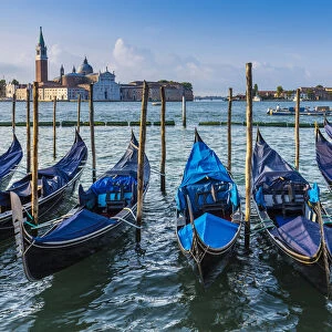 Gondola boats moored along the San Marco canal in Venice with San Giorgio Maggiore and St Marks Campanile in the distance, Italy