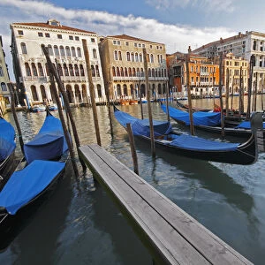 Gondolas Moored On The Grand Canal; Venice Italy