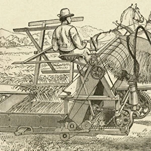 A Harvesting Machine, Pulled By Horses, Which Tied The Sheaves Of Corn Mechanically, Used In The Late 19Th Century. From El Museo Popular Published Madrid, 1887